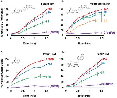 Quantification of Live Bacterial Sensing for Chemotaxis and Phagocytosis and of Macropinocytosis